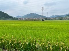 -李东农庄(中南百草园地标店)