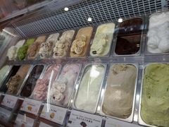 -iceason爱茜茜里·意大利健康冰淇淋(骑龙巷店)