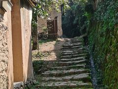 -杨家堂村