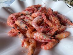-哈味食店(外伶仃岛店)