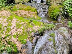 -藏龙百瀑风景区