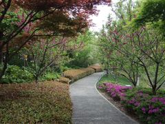 -圩墩遗址公园