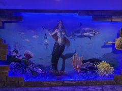 -太平洋海底世界