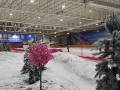 -赤马湖体育滑雪