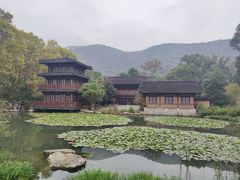 -习家池