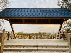 -野鸭湖国家湿地公园