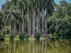 -中国科学院西双版纳热带植物园