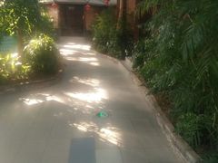 景观位-森谷美食公园(杨行店)