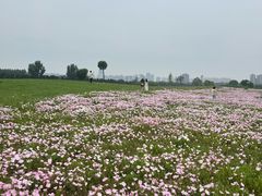 -汉长安城未央宫国家考古遗址公园