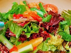 -LE COQ大公鸡小酒馆(北京首店)