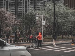-西北湖绿化广场
