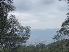 -缙云山景区