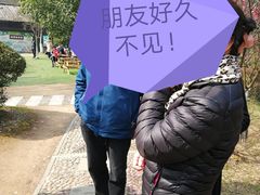 -白马涧龙池景区