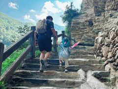 -少华山国家森林公园