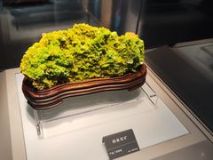 -安徽省地质博物馆