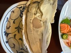 -樱の花亭日本料理店