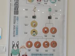 -美联众合动物医院·内科·皮肤科·外科(古城分院)
