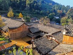 -杨家堂村