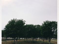 -永定河休闲森林公园