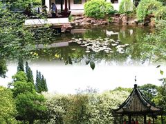 -上海醉白池公园