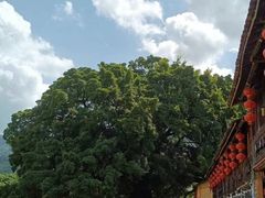 -云水谣景区