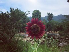 iphone_upload_pic-杭州六谷生态休闲农庄有限公司
