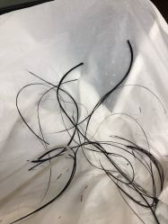 -BOF HAIR BY HONTO