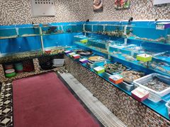 水产区-港畔赶海蒸汽海鲜烧烤自助(仙螺岛店)