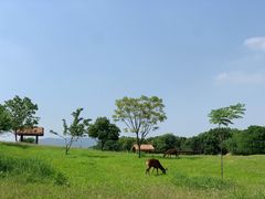 -良渚古城遗址公园