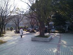 -上海中医药大学附属曙光医院(东部)