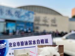 -丰台体育中心·游泳馆
