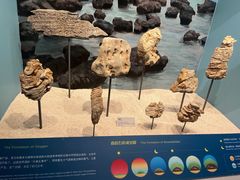 -正佳自然科学博物馆