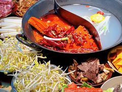 -阳阳老火锅(小南门店)