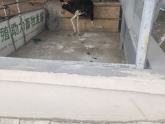 -长春农博园
