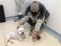 -萌兽医馆·绝育·24小时内科·宠物医院(德胜店)