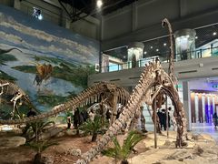 -自贡恐龙博物馆
