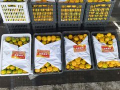 -东方鼎信农副产品交易中心