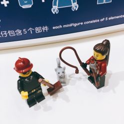 -乐高品牌旗舰店(人民广场店)