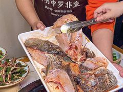-费明中罗非鱼(大石坝店)