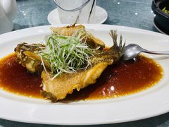 -望乡楼上海菜(日月光店)