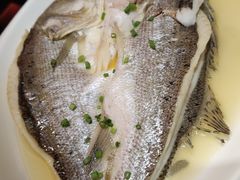 非一般海鲈鱼-高第街56号港式餐厅·精选(世茂广场宽厚里大明湖店)