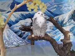 -北京野生动物园