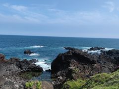 -涉地可支