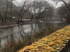 -鹿亭中村