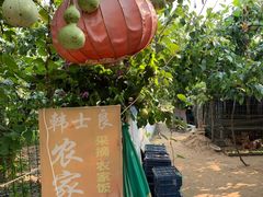 -韩士良采摘园