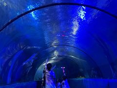 -梦幻海洋王国(吾悦广场张家港店)