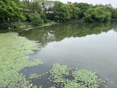 -八卦田遗址公园