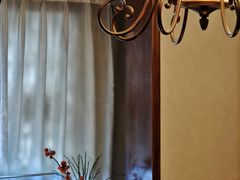 -泡桐树孙二娘私房菜