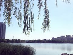 -南翔镇银翔湖公园