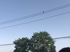 -北京市东郊殡仪馆